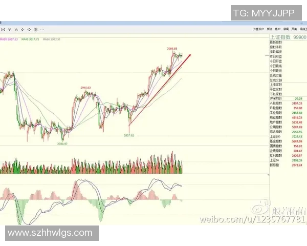 北京羽毛球队防守策略分析与比赛表现评估