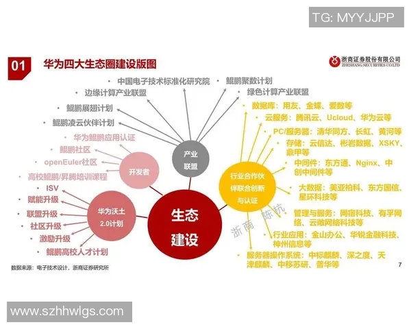 成都篮球队技术分析与战术创新的深度探讨与展望
