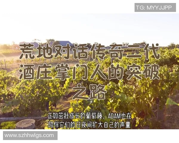 广州攀岩队的中路突破之路探秘与深度分析 广州攀岩队的中路突破之路探秘与深度分析