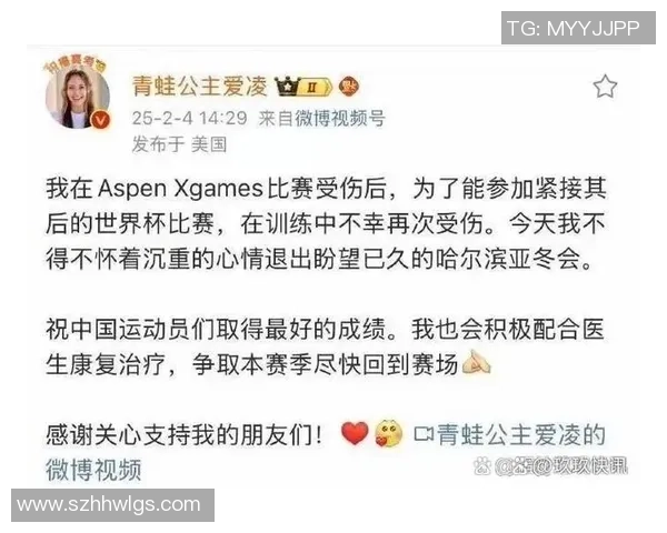 杭州极限运动队在世界杯中的战术表现分析与点评