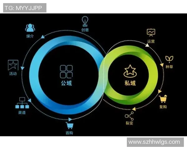 深入分析BLG的运营策略与战术布局探讨 深入分析BLG的运营策略与战术布局探讨